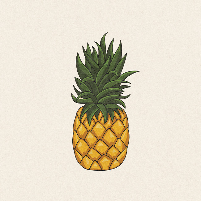 illustration-tropico-ananas-vay-studio